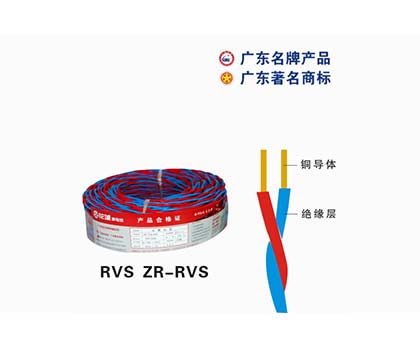RVS ZR-RVS齭